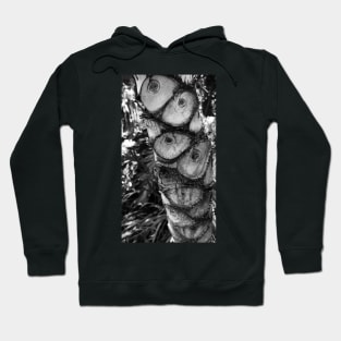 Palm trunk Hoodie